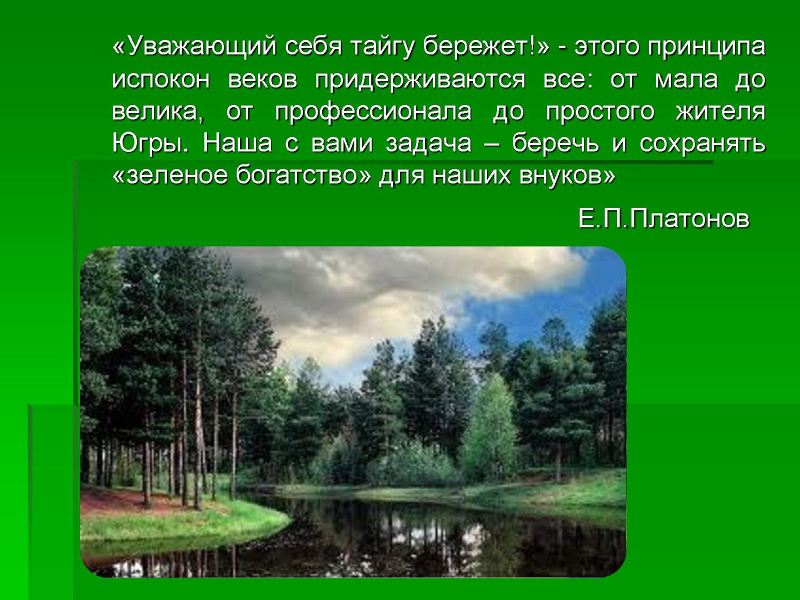 сформулировать законы тайги. лиственные деревья тайги. почему заряды в тайге берегли. почему заряды в тайге берегли. что помогло васютке выжить в тайге.