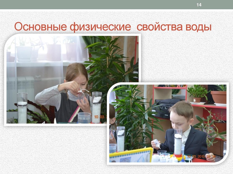 Файл:Лелекова С Н.pdf