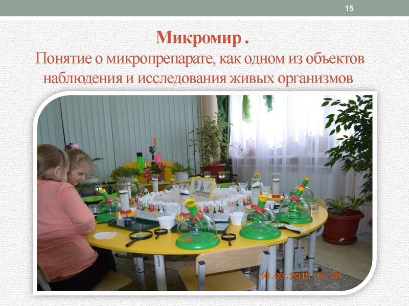 Файл:Лелекова С Н.pdf