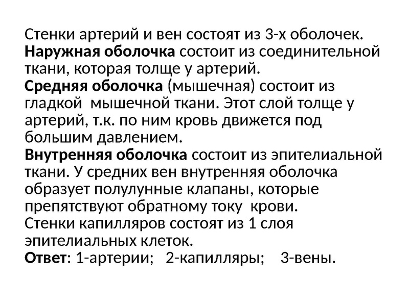 Файл:Взаимосвязь дыхательной и кровеносной системы.pdf