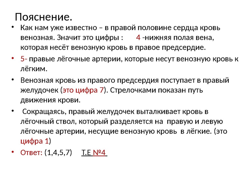 Файл:Взаимосвязь дыхательной и кровеносной системы.pdf