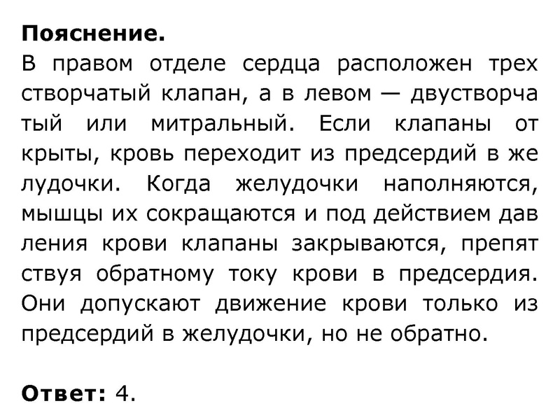 Файл:Взаимосвязь дыхательной и кровеносной системы.pdf