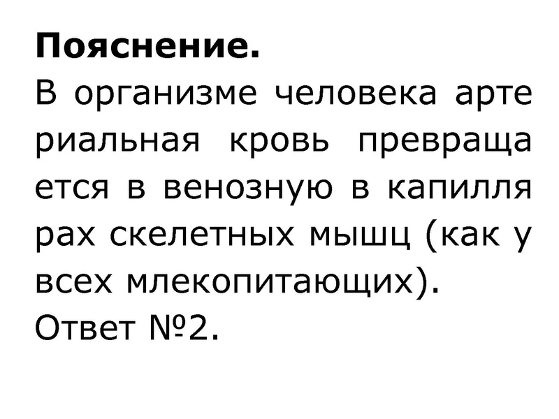 Файл:Взаимосвязь дыхательной и кровеносной системы.pdf