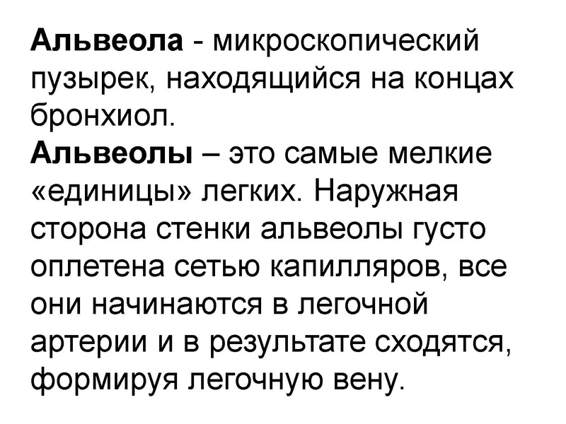 Файл:Взаимосвязь дыхательной и кровеносной системы.pdf
