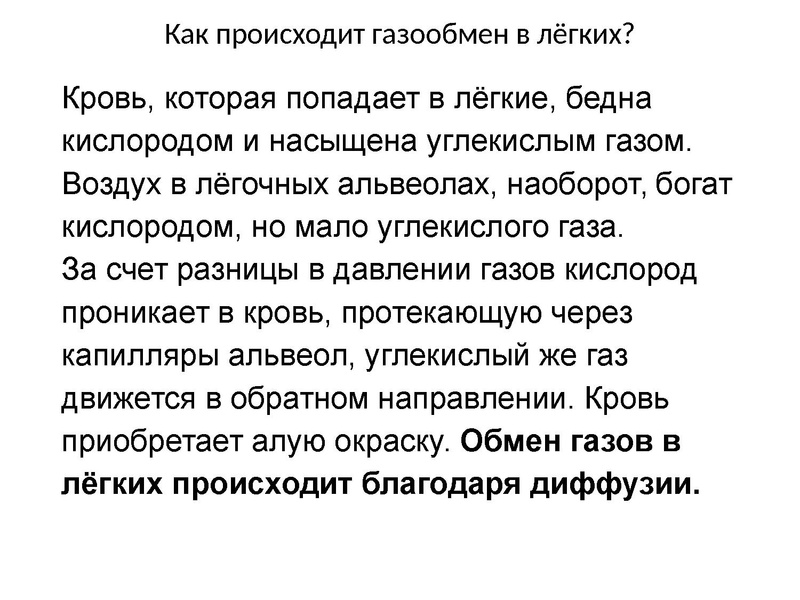 Файл:Взаимосвязь дыхательной и кровеносной системы.pdf