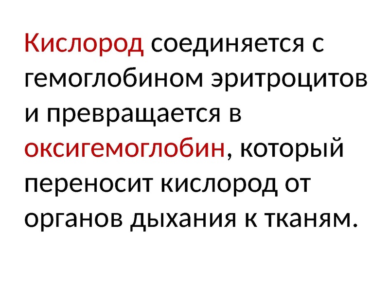 Файл:Взаимосвязь дыхательной и кровеносной системы.pdf