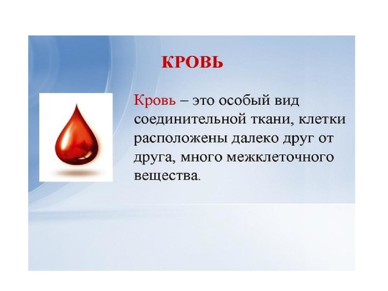 Файл:Взаимосвязь дыхательной и кровеносной системы.pdf