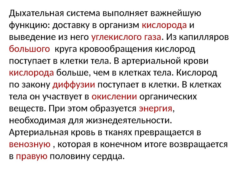 Файл:Взаимосвязь дыхательной и кровеносной системы.pdf