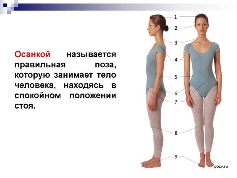 Файл:Профилактика ОДА в ДОУ (1).pdf