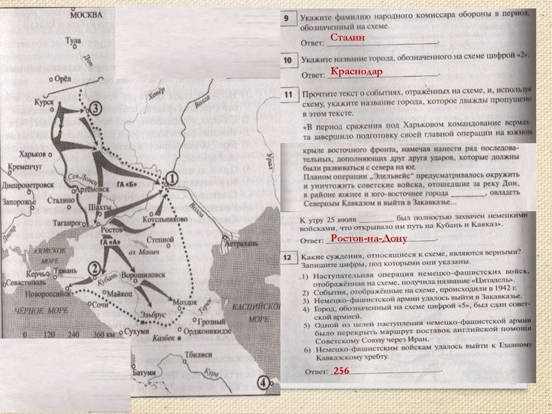 Файл:ПРЕЗЕНТАЦИЯ.pdf