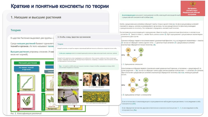 Файл:4B9D~1.pdf