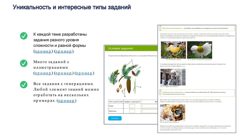 Файл:4B9D~1.pdf
