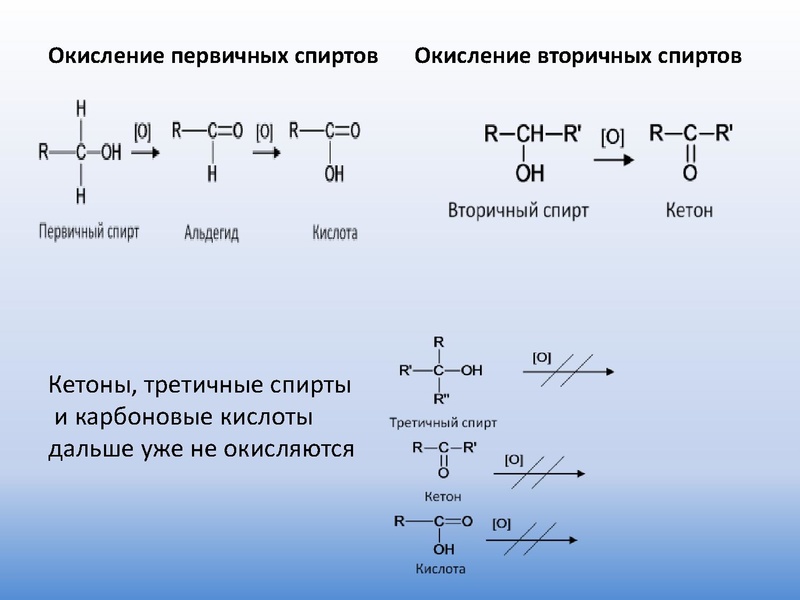 Файл:Органика 2022 11 к.pdf