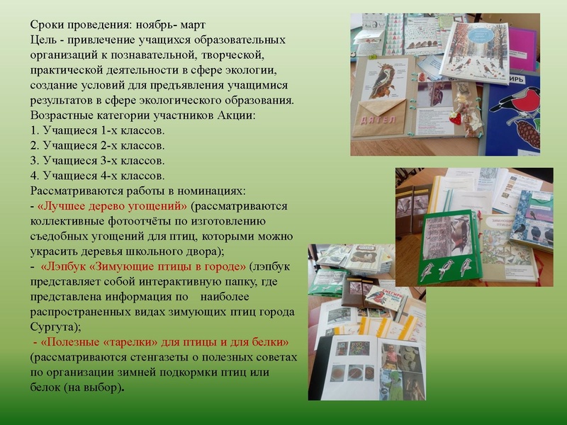 Файл:МАОУ ДО ЭБЦ. Городские мероприятия.pdf