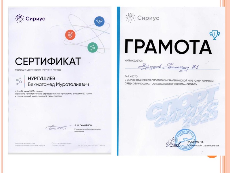 Файл:Презентация А.С. Саитовой.pdf