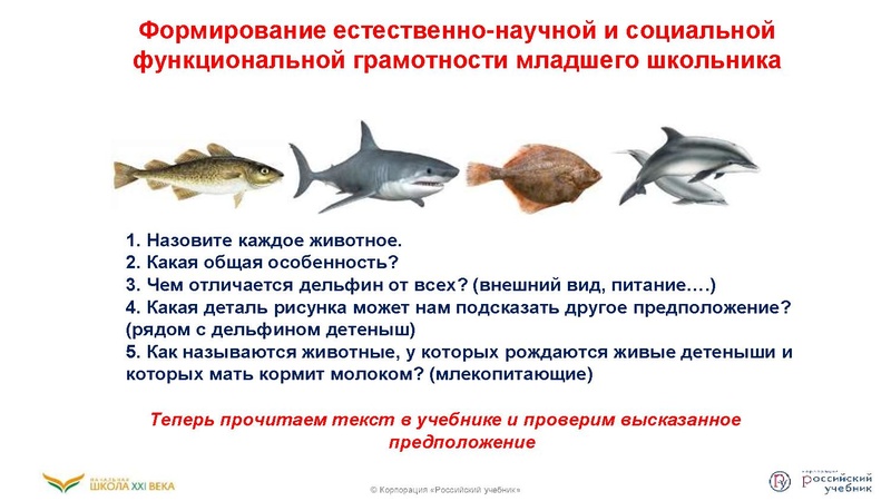 Файл:Функциональная грамотность .pdf