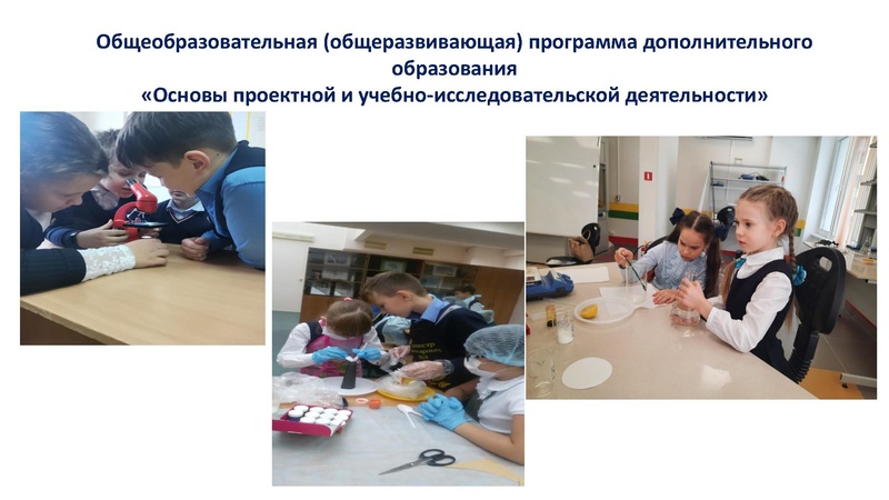 Файл:Иванова СА.pdf