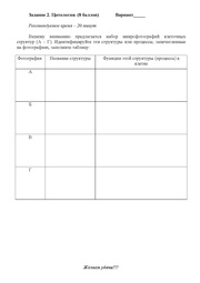 следующая страница →