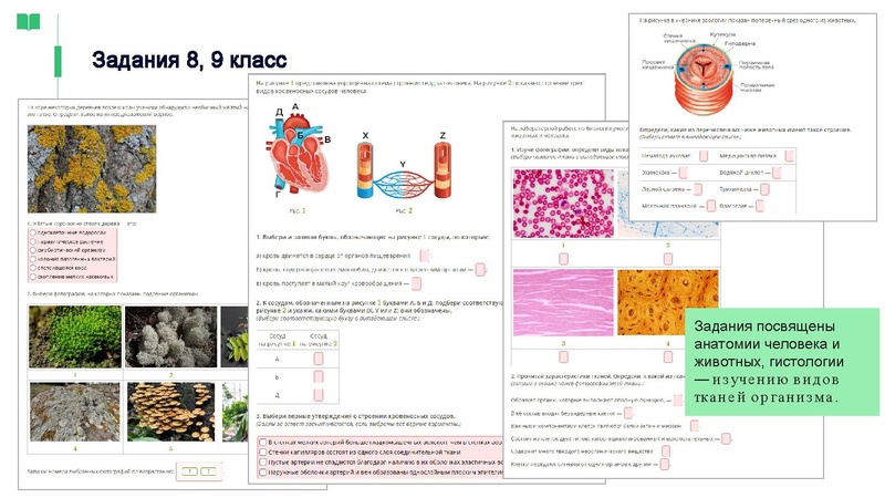 Файл:ЯКласс Головина Ю.А..pdf