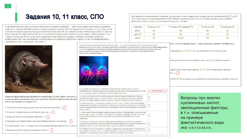 Файл:ЯКласс Головина Ю.А..pdf