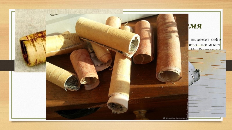 Файл:Алексеева Т.А. Технология формирования чит. грамотности.pdf