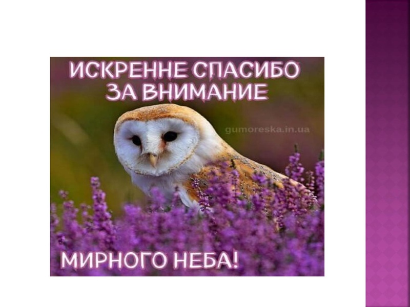 Файл:Физкультминутки на уроках музыки Байгутлина-Байчурина М.М.pdf