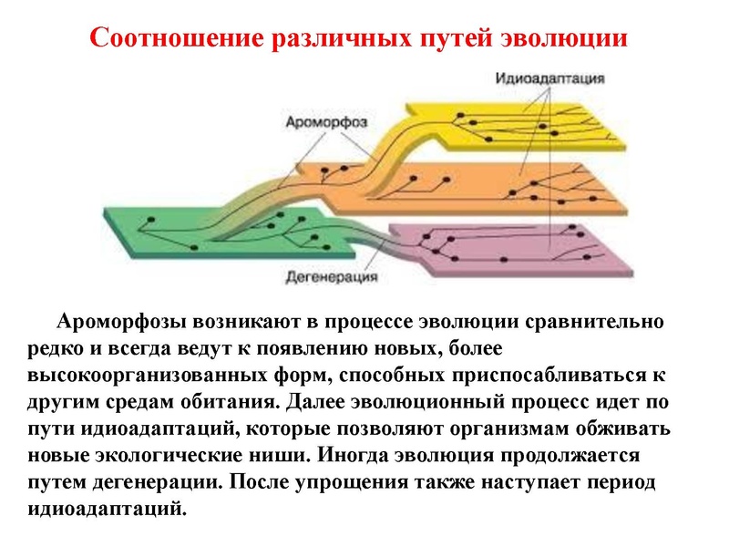 Файл:Биология-ДаяноваТ.Д-16.11.2015.pdf