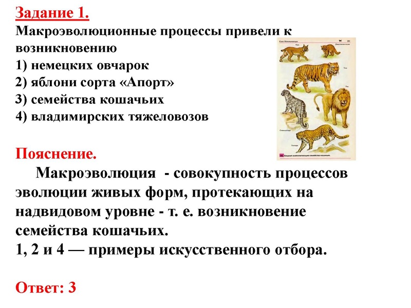 Файл:Биология-ДаяноваТ.Д-16.11.2015.pdf