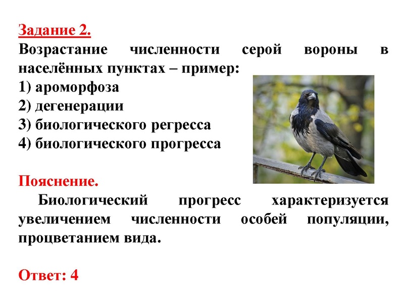 Файл:Биология-ДаяноваТ.Д-16.11.2015.pdf