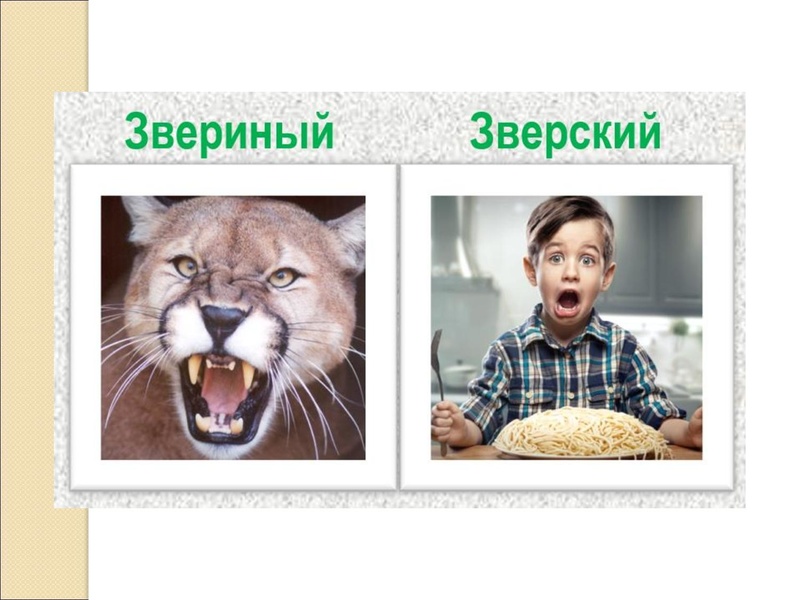 Файл:О.В. Руднева Подготовка к ВСОШ по РЯ.pdf