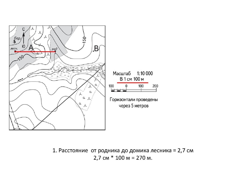 Файл:15,01профиль территории.pdf