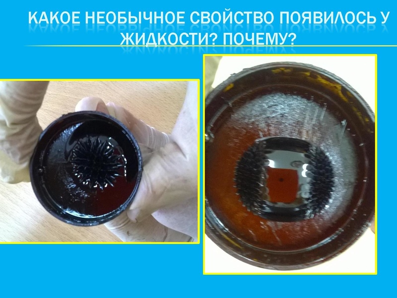 Файл:Аршанова М.Д.pdf