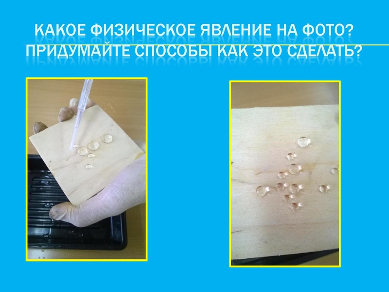 Файл:Аршанова М.Д.pdf