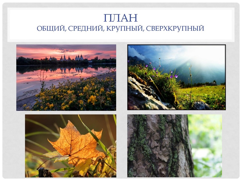 Файл:Миронова И.А. Выступление на ГМО 8.02.2021.pdf