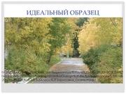 следующая страница →