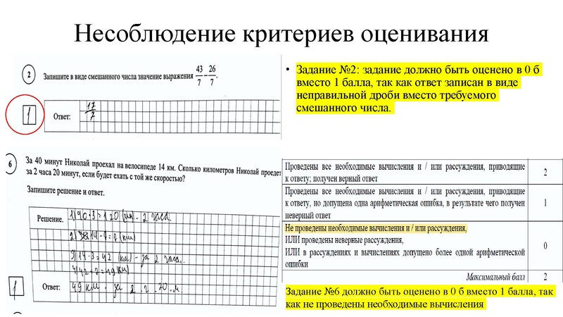 Файл:ВПР для ГМО.ГРОМЕНЮК.pdf