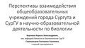 Миниатюра для версии от 16:09, 20 мая 2026