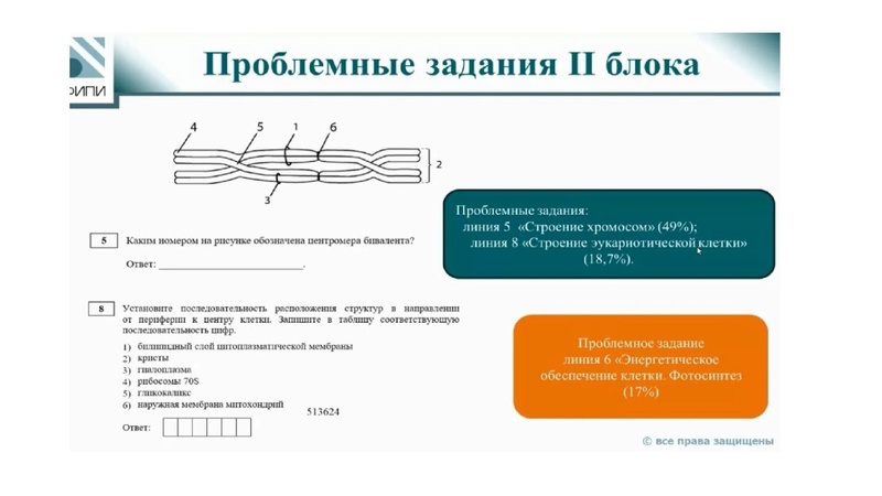Файл:ГИА 2-024 по биологии. Анализ затруднений.pdf