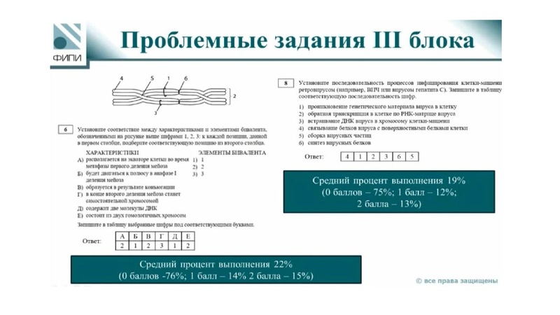 Файл:ГИА 2-024 по биологии. Анализ затруднений.pdf