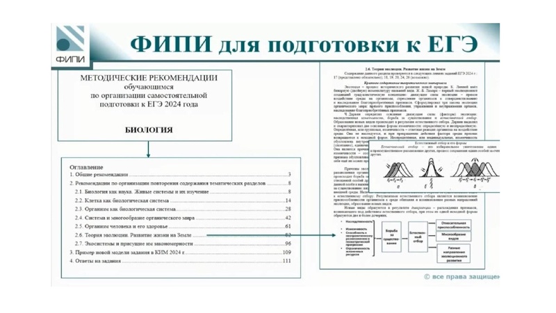 Файл:ГИА 2-024 по биологии. Анализ затруднений.pdf