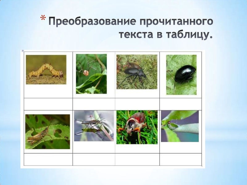 Файл:Формирование читательской грамотности.pdf