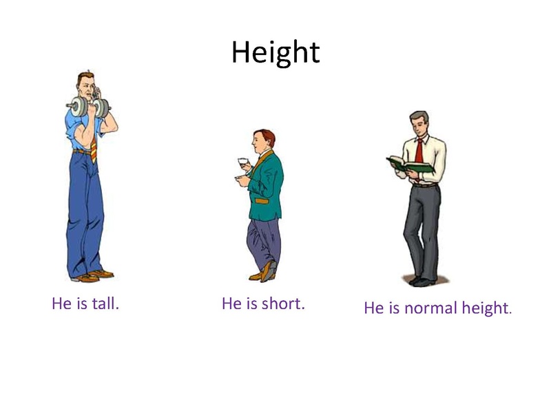 Файл:1 впр 7 класс.pdf