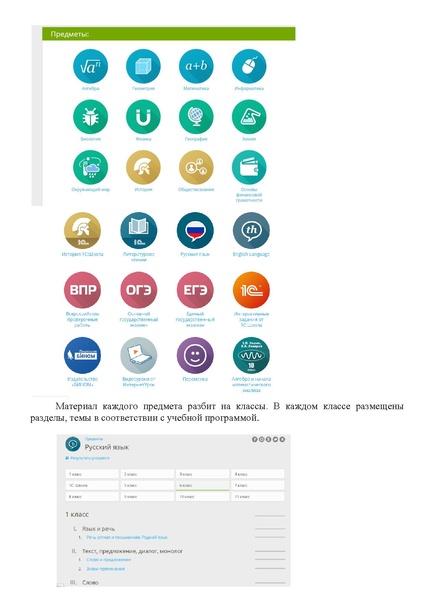 Файл:Выступление Лыжиной А.С. 30.10.pdf