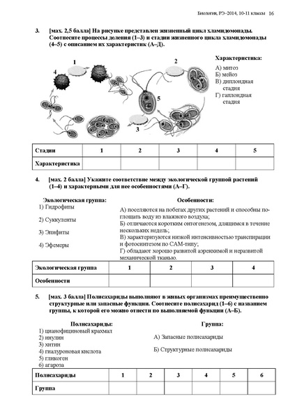 Файл:Задания 11 класс.pdf