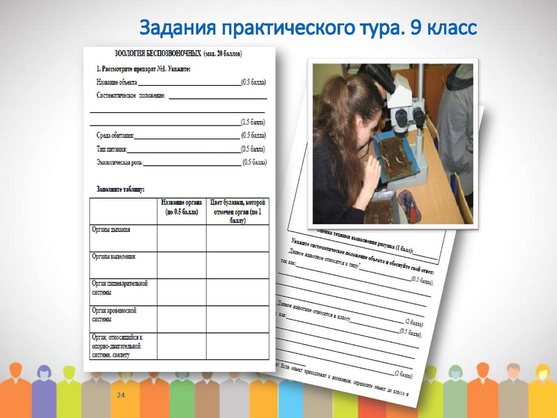 Файл:МО проблемы подготовки ред.pdf