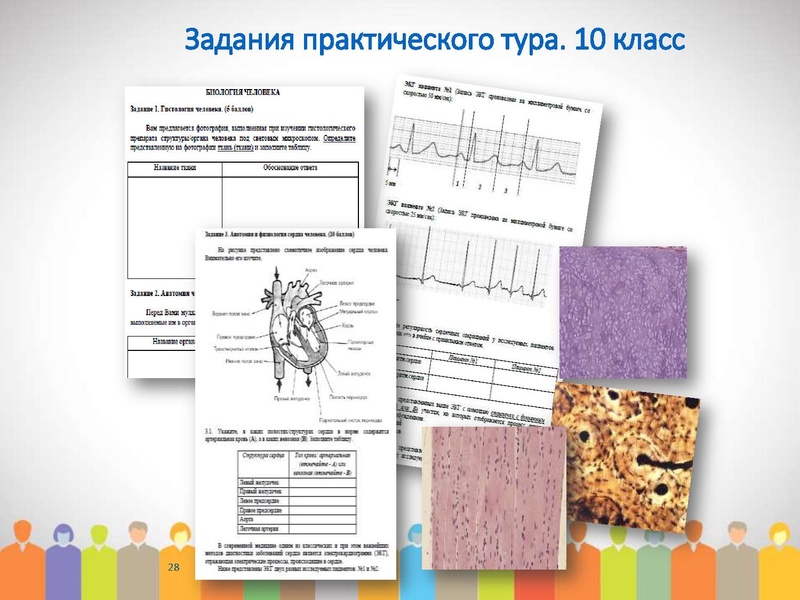 Файл:МО проблемы подготовки ред.pdf