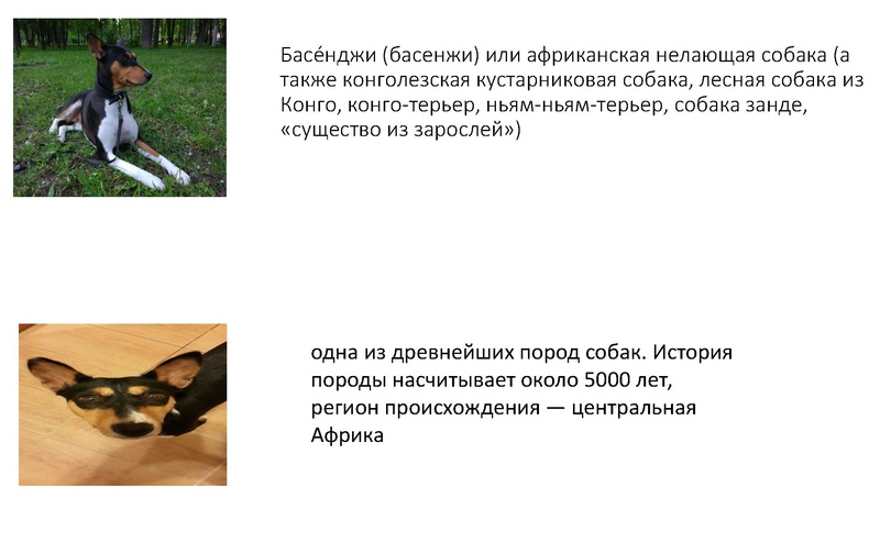 Файл:Методика оценки заданий 13-15.pdf