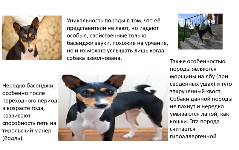 Файл:Методика оценки заданий 13-15.pdf