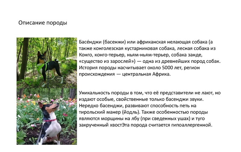 Файл:Методика оценки заданий 13-15.pdf