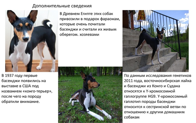 Файл:Методика оценки заданий 13-15.pdf